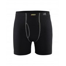 1828 Boxer multinormes