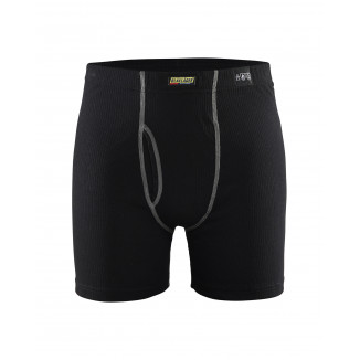 1828 Boxer multinormes