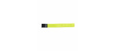 4034 Ceinture